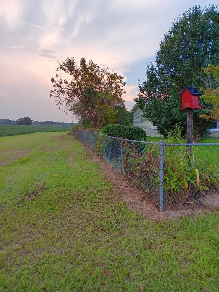 Professional lawn mowing service for outdoor upgrades in Hawkinsville, GA by Legett Builders Group