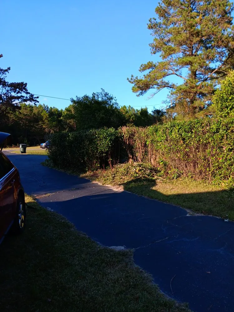 Professional landscape design for beautiful yards in Hawkinsville, GA by Legett Builders Group