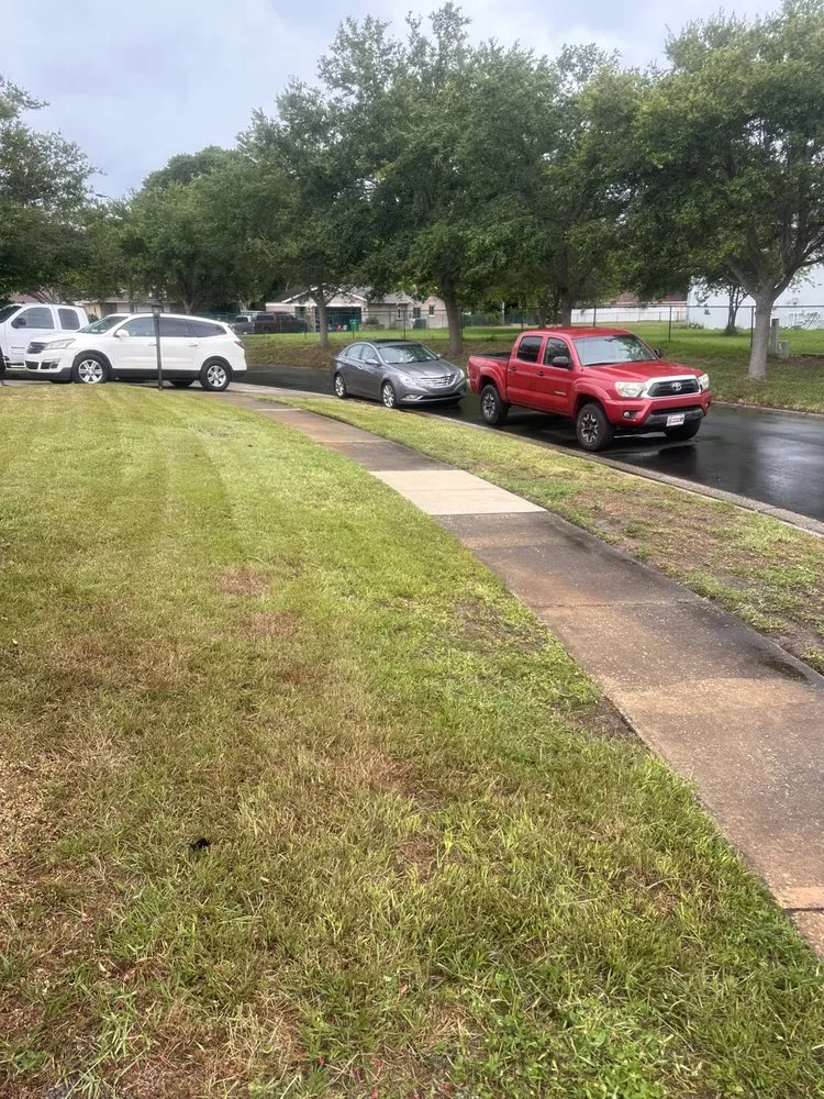 Top-rated residential landscaping experts serving Pinellas Park, FL - Leggios Lawn Care