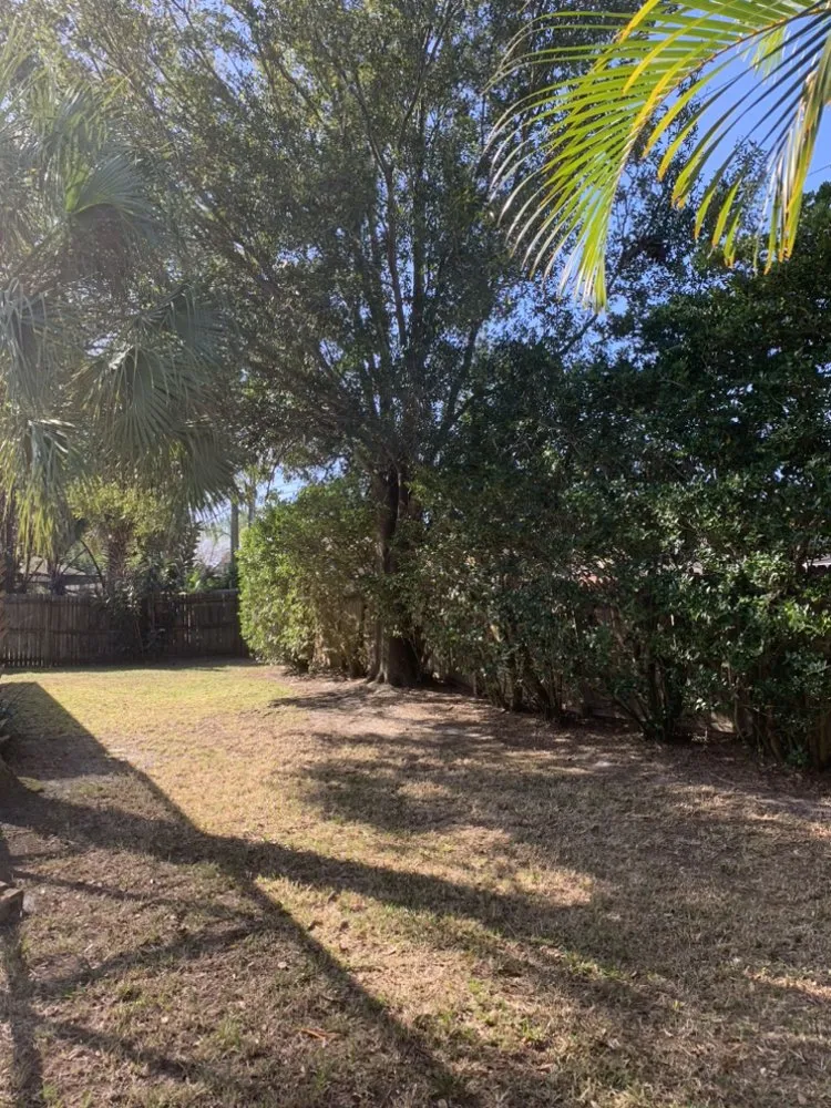 Local landscape installation in Pinellas Park, FL - Leggios Lawn Care