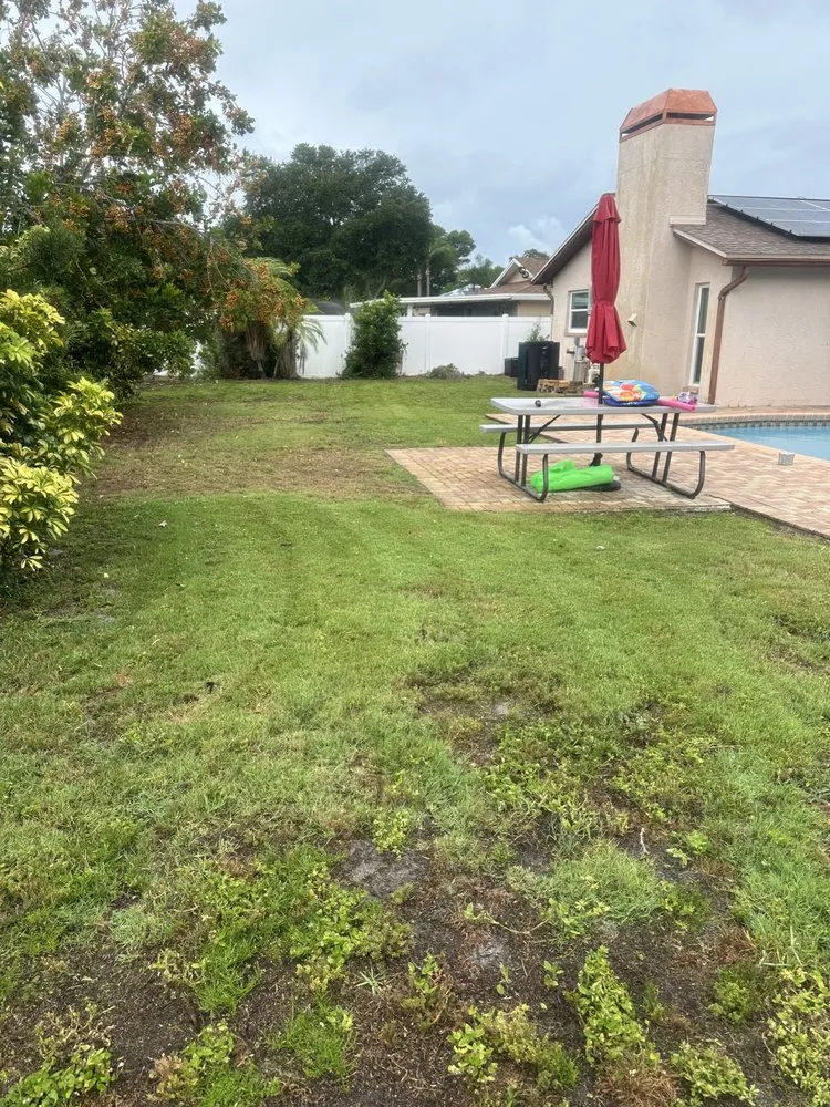 Top-rated lawn mowing service experts serving Pinellas Park, FL - Leggios Lawn Care
