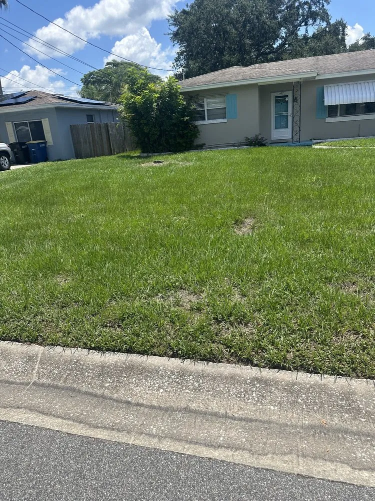 Affordable yard cleanup service in Pinellas Park, FL - Leggios Lawn Care