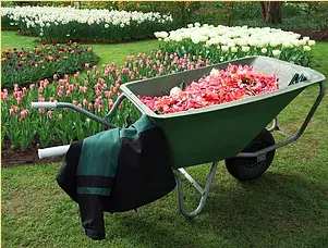 Top-rated yard cleanup service in Chester, MD - Leggs Lawn & Landscape