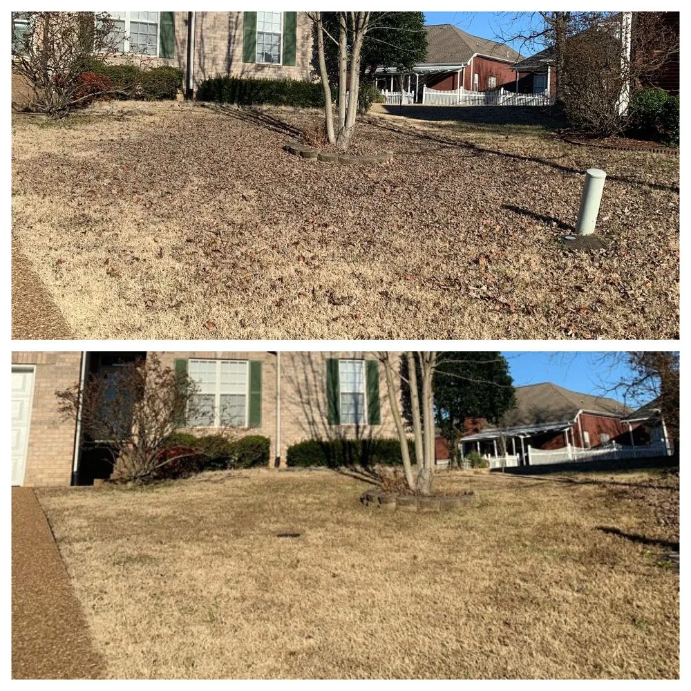Reliable landscaping services in Smyrna, TN by Legion Lawn and Pool
