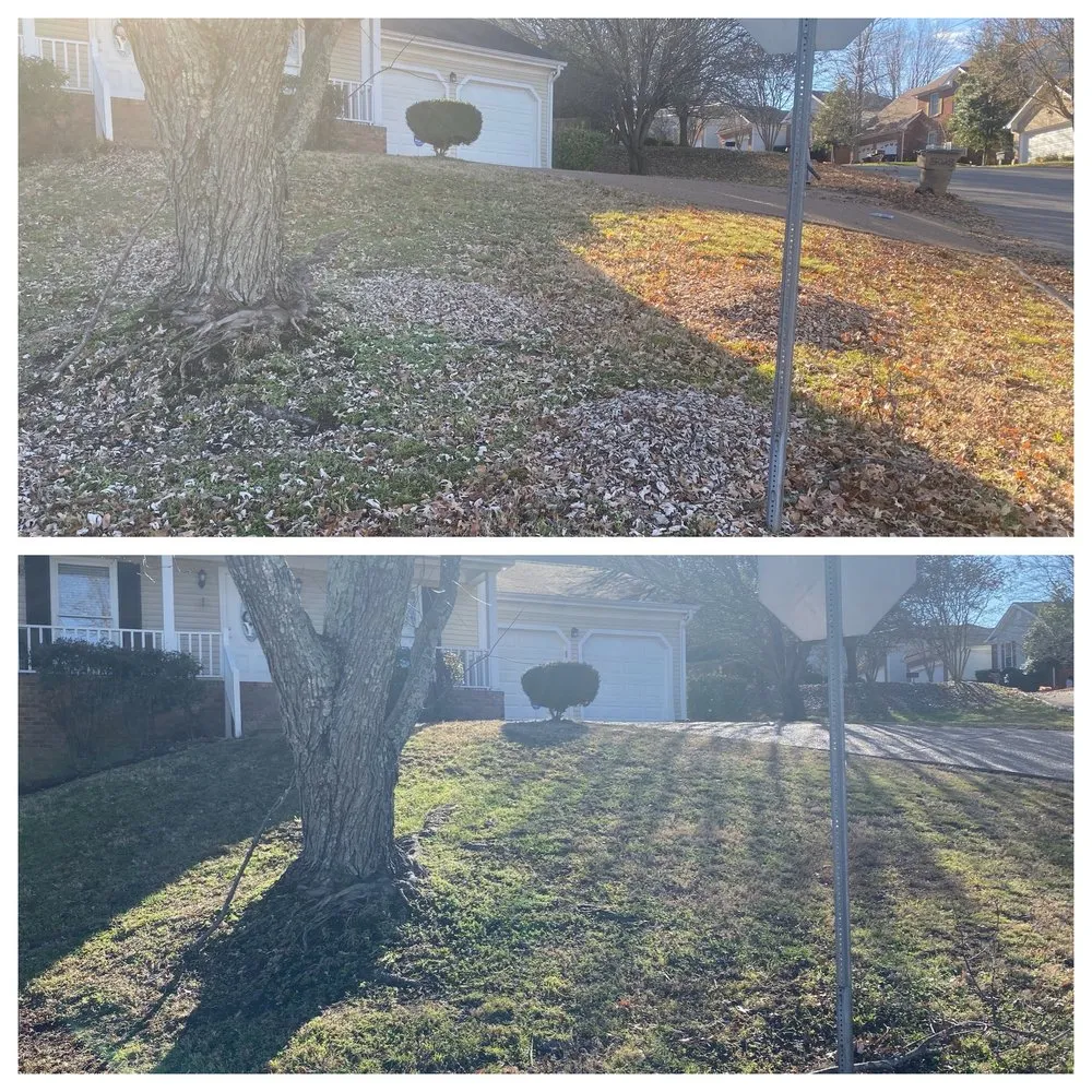 Custom yard maintenance for outdoor upgrades in Smyrna, TN by Legion Lawn and Pool