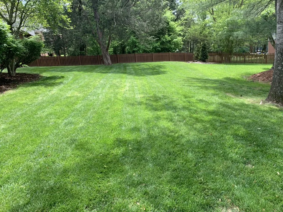 Local landscaping services for outdoor upgrades in Smyrna, TN by Legion Lawn and Pool