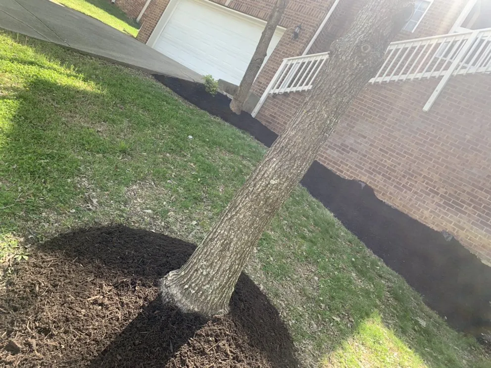 Trusted yard maintenance near you across Smyrna, TN - Legion Lawn and Pool