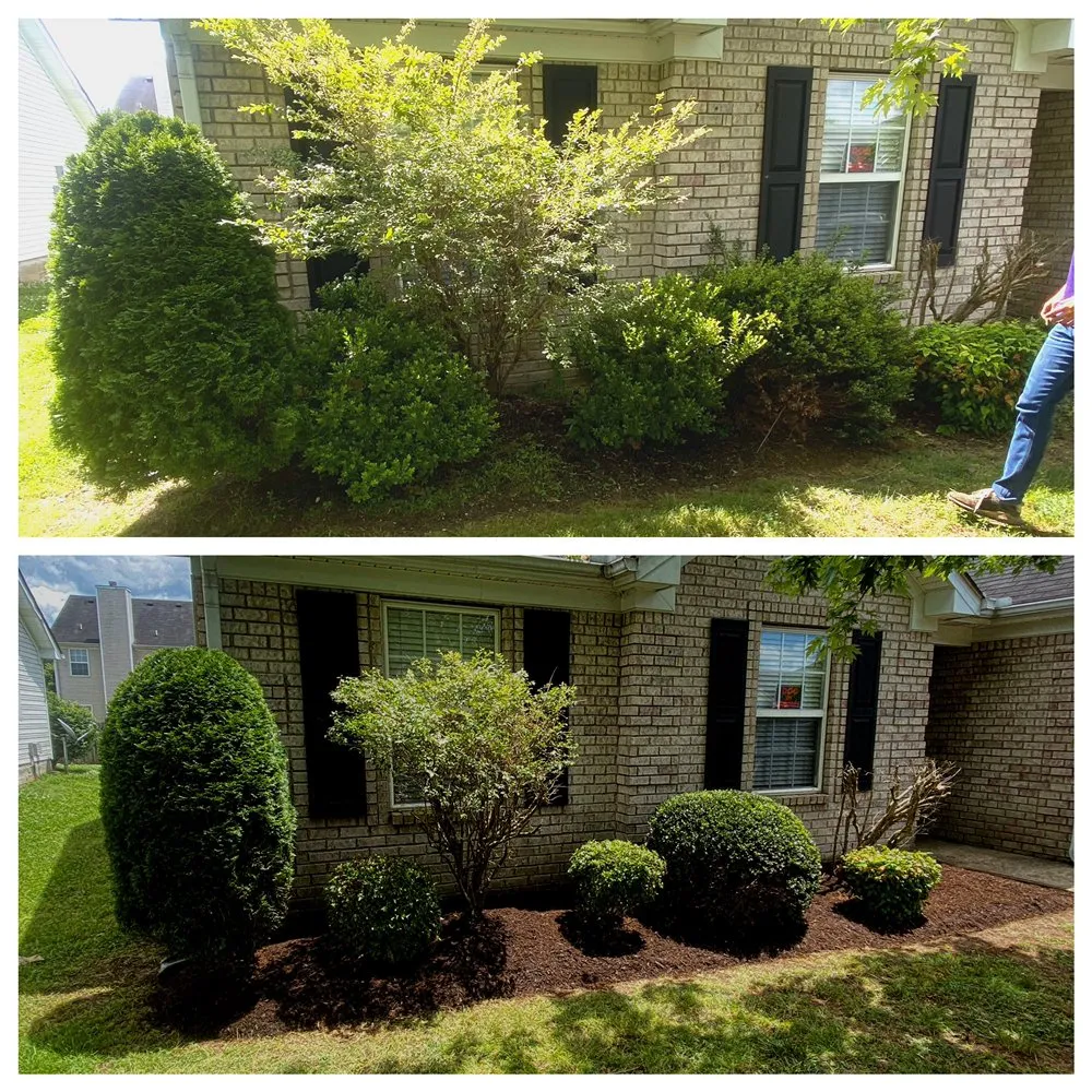 Reliable residential landscaping with custom design across Smyrna, TN - Legion Lawn and Pool