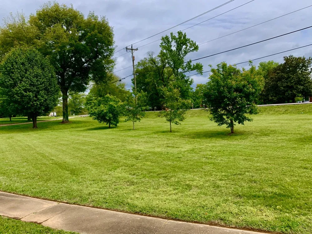 Local landscaping services in Smyrna, TN by Legion Lawn and Pool