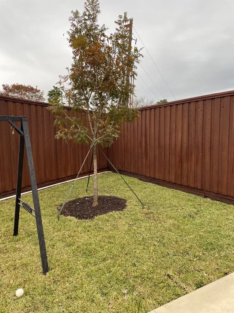 Custom yard maintenance in Richardson, TX by Legit Landscapes