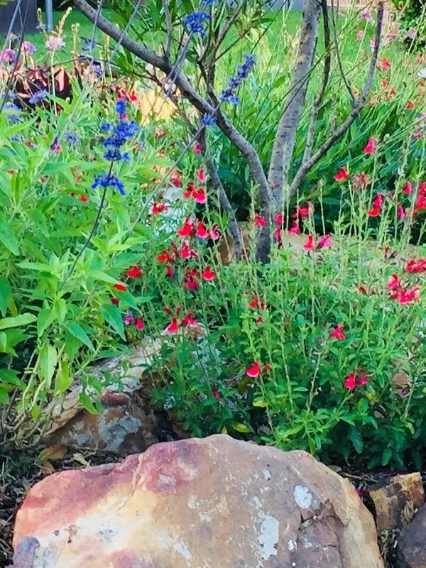 Custom outdoor landscaping with custom design across Richardson, TX - Legit Landscapes