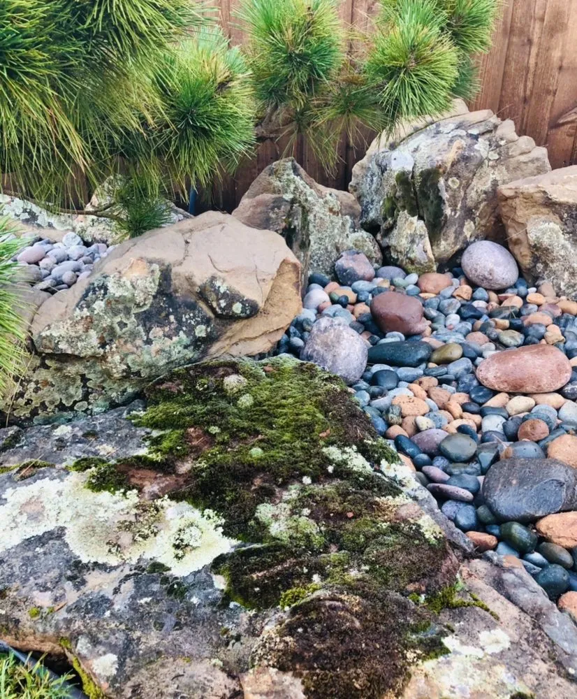 Custom lawn care service in Richardson, TX by Legit Landscapes