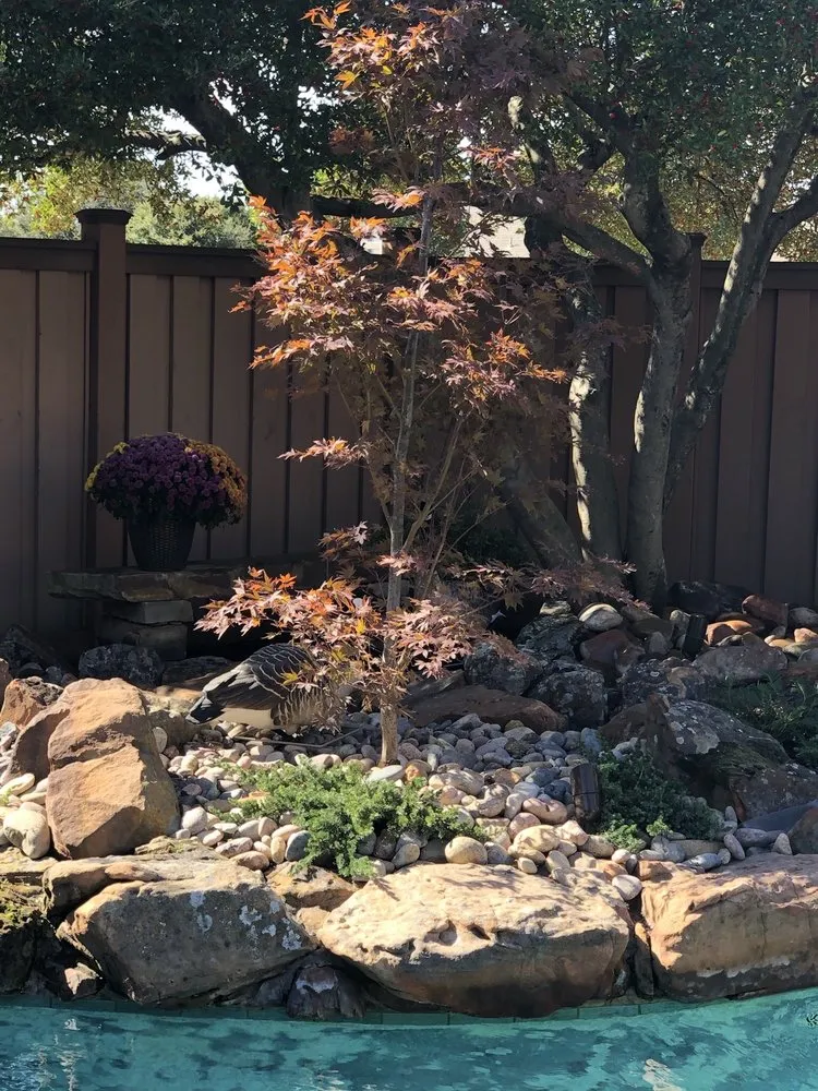 Top-rated lawn mowing service for year-round maintenance in Richardson, TX by Legit Landscapes