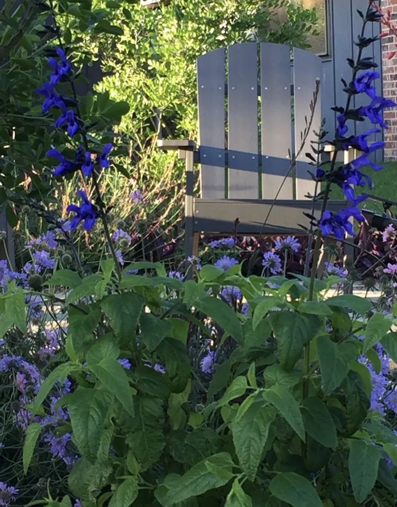 Expert lawn mowing service in Richardson, TX - Legit Landscapes