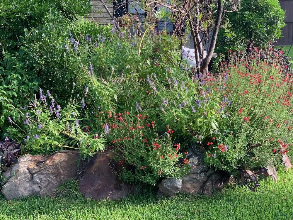 Professional landscaping services in Richardson, TX by Legit Landscapes