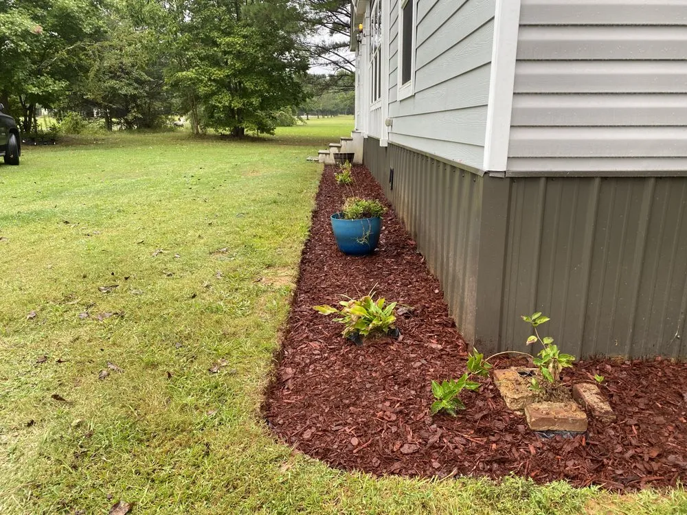 Top-rated yard cleanup service for homes in Algoma, MS by Legit Landscaping
