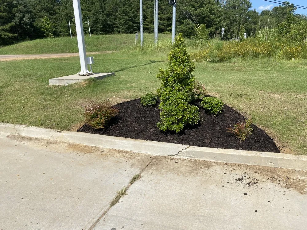 Professional landscaping services in Algoma, MS by Legit Landscaping