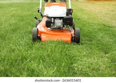 Affordable outdoor landscaping experts serving Elm Mott, TX - Legit Landscaping Services