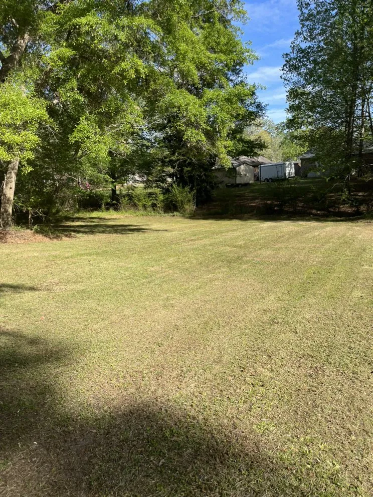 Professional outdoor landscaping for year-round maintenance across Greenville, NC - Legit Lawns & Pressure Washing