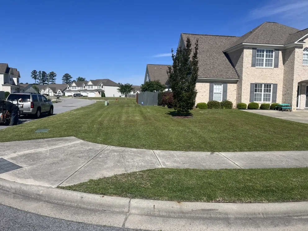 Professional outdoor landscaping near you in Greenville, NC by Legit Lawns & Pressure Washing