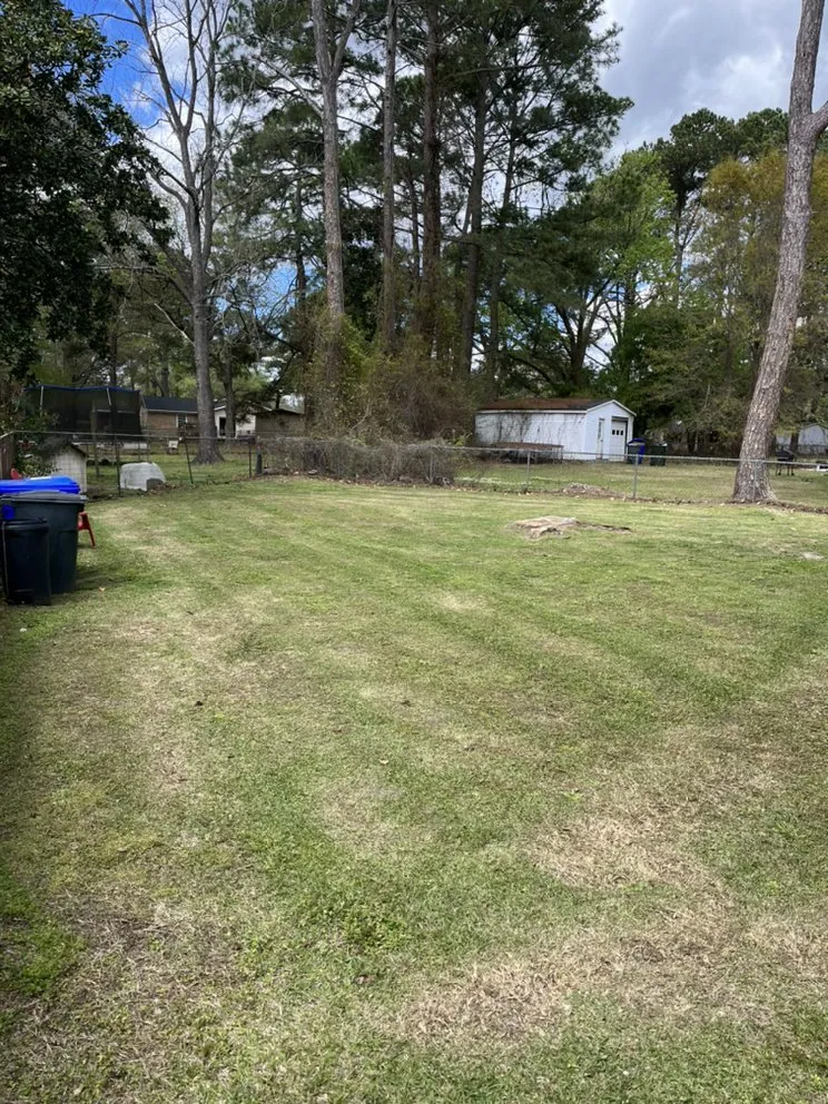 Expert lawn care service in Greenville, NC by Legit Lawns & Pressure Washing