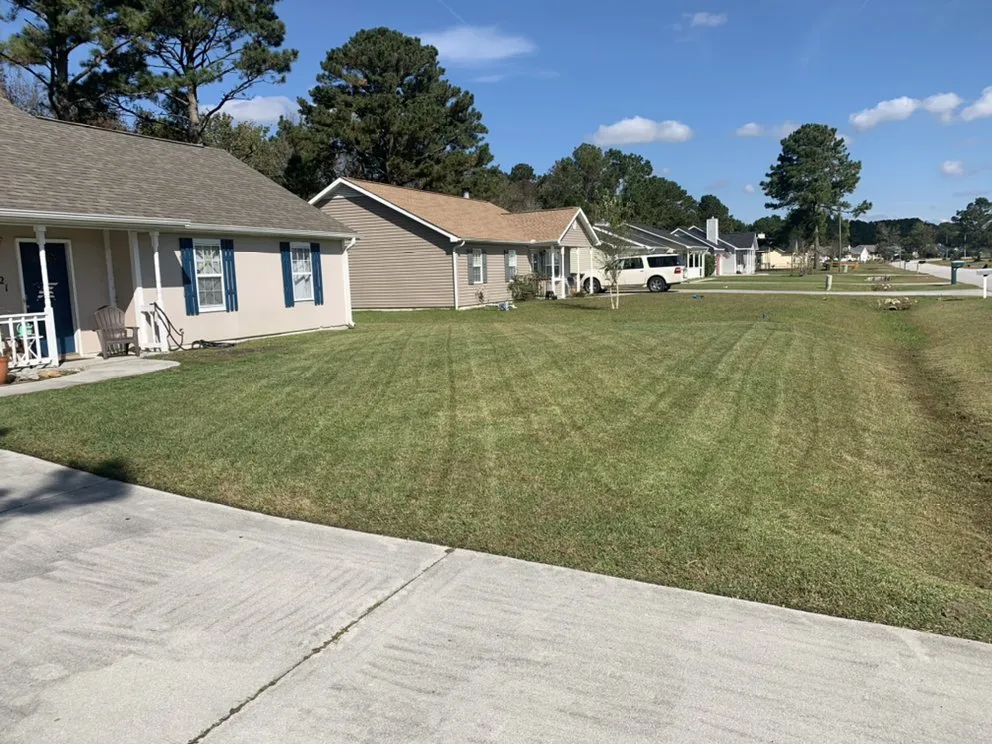 Local yard cleanup service with custom design in Jacksonville, NC by Legit Services Lawncare
