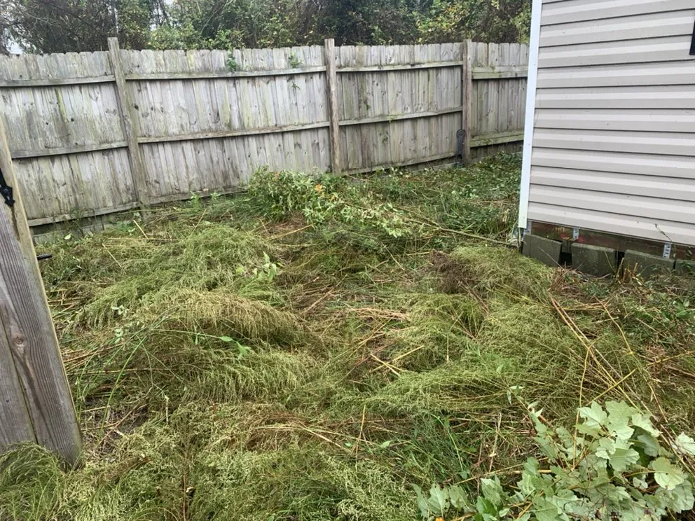 Custom residential landscaping for beautiful yards across Jacksonville, NC - Legit Services Lawncare