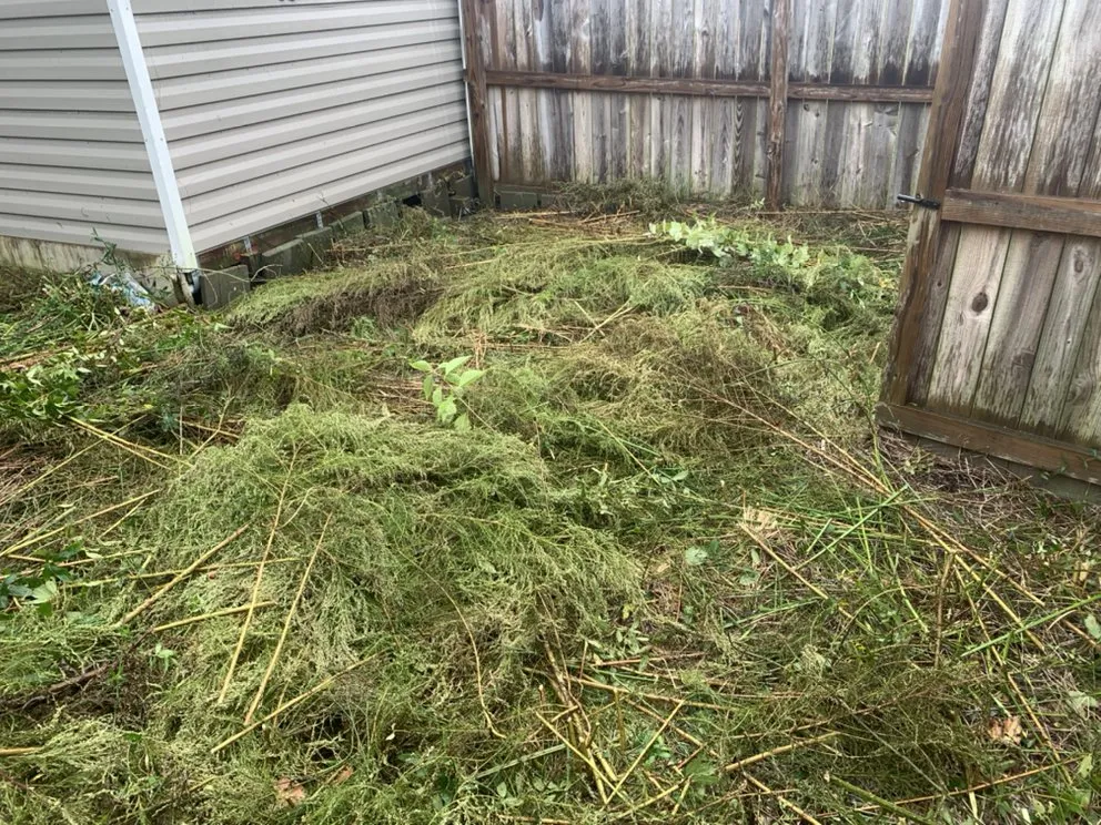 Top-rated landscaping services in Jacksonville, NC - Legit Services Lawncare