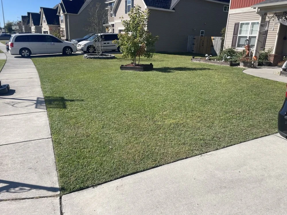 Reliable landscape design with custom design in Jacksonville, NC by Legit Services Lawncare