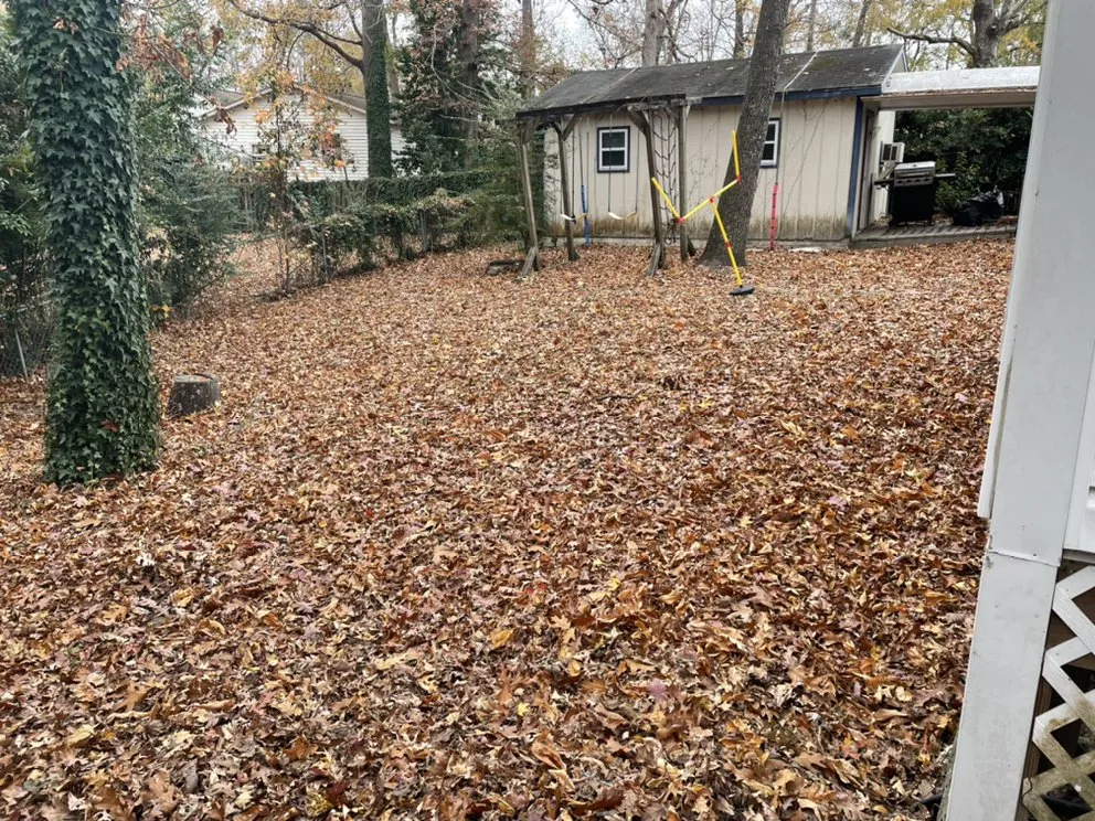 Affordable residential landscaping for residential properties in Jacksonville, NC by Legit Services Lawncare