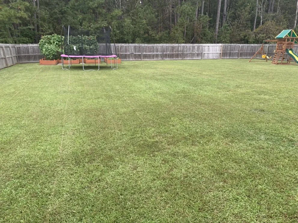 Top-rated landscape design in Jacksonville, NC by Legit Services Lawncare