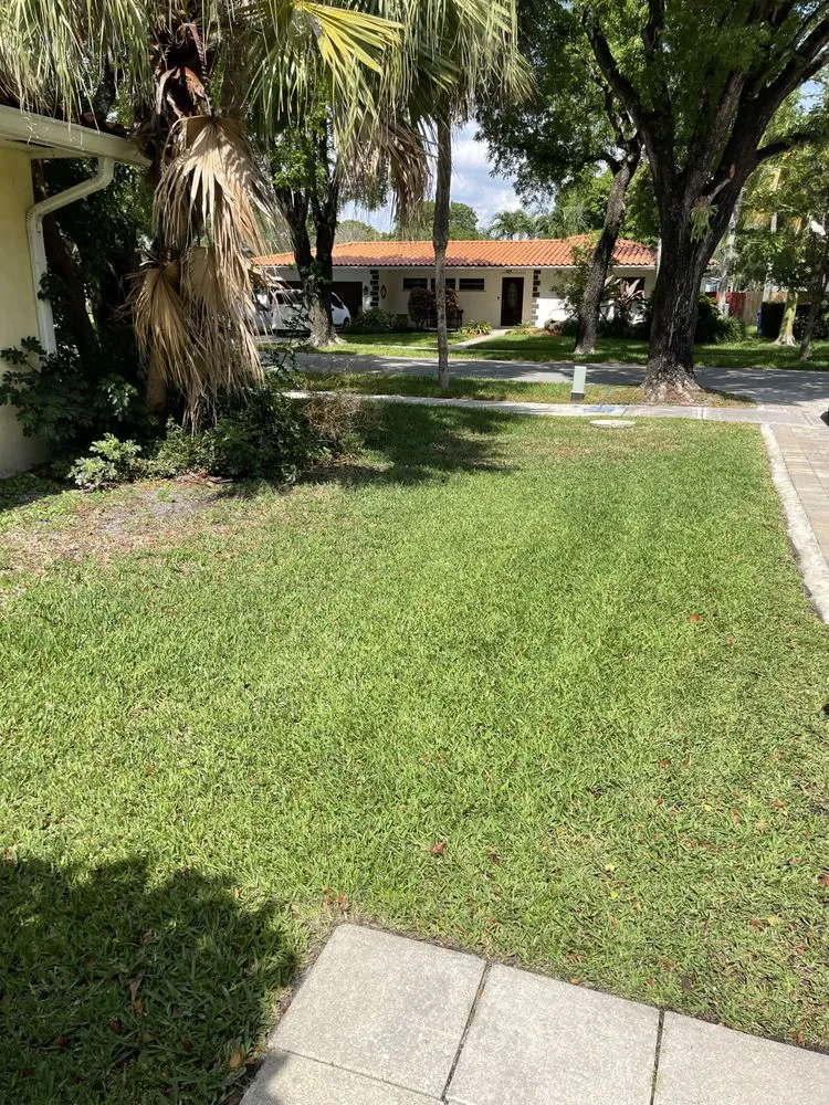 Top-rated residential landscaping experts serving Miami, FL - Lego Lawn Services