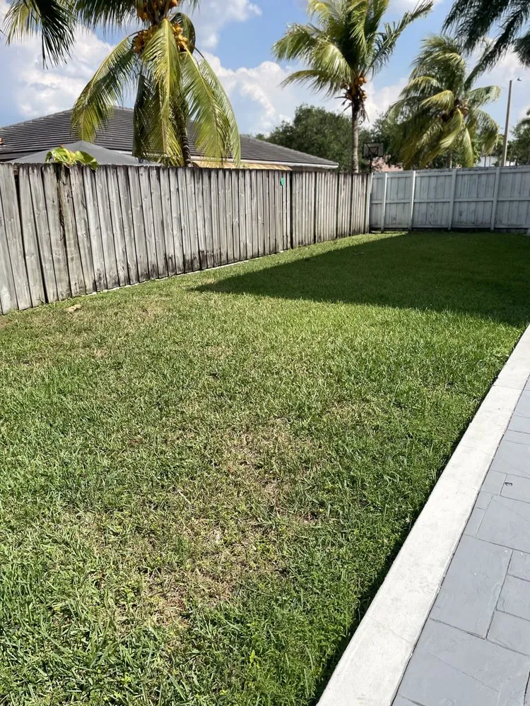 Top-rated yard maintenance in Miami, FL - Lego Lawn Services