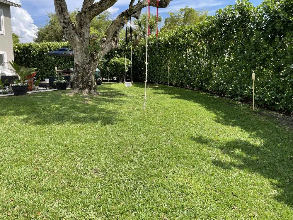 Affordable outdoor landscaping experts serving Miami, FL - Lego Lawn Services
