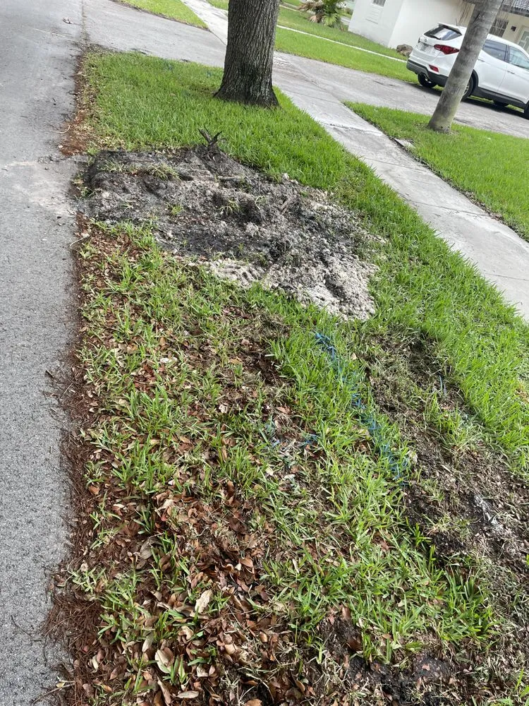 Reliable landscape installation in Miami, FL - Lego Lawn Services