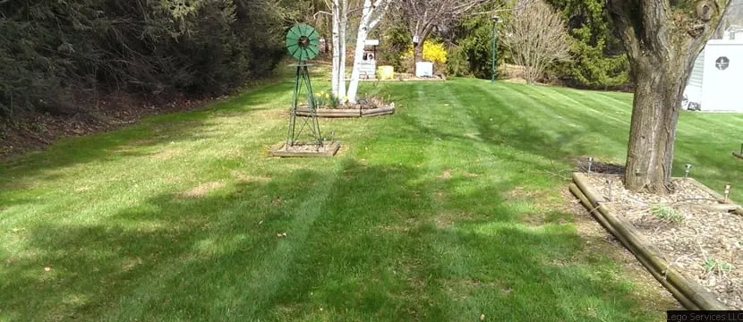 Expert residential landscaping experts serving Altoona, PA - Lego Services