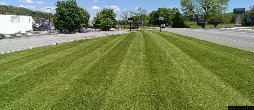 Expert residential landscaping for residential properties across Altoona, PA - Lego Services