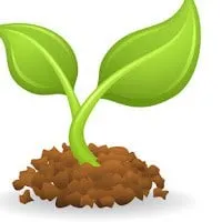 Reliable landscape design for beautiful yards in Altoona, PA by Lego Services