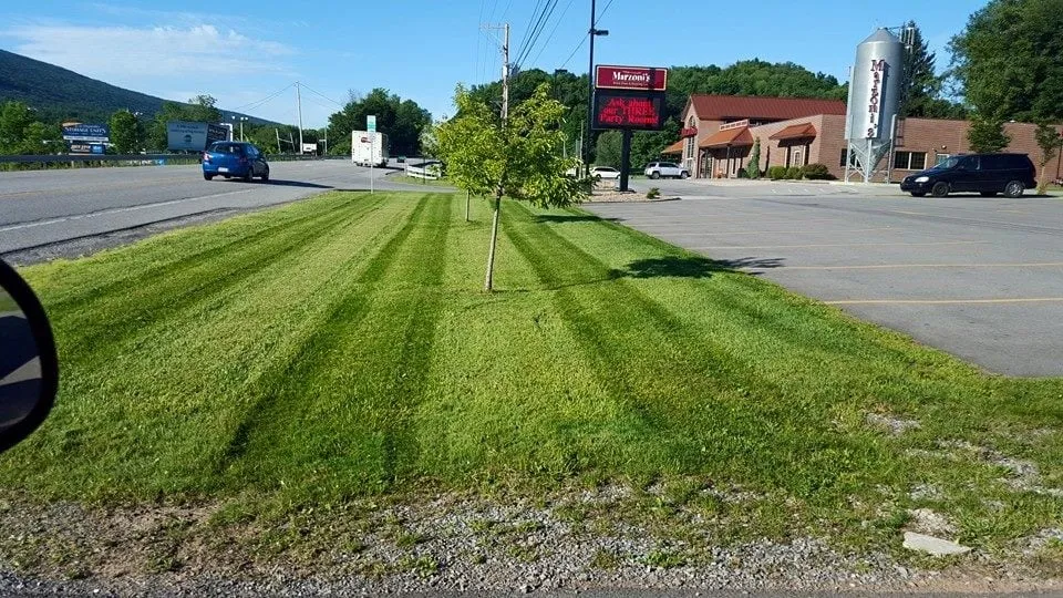 Expert lawn mowing service in Altoona, PA by Lego Services
