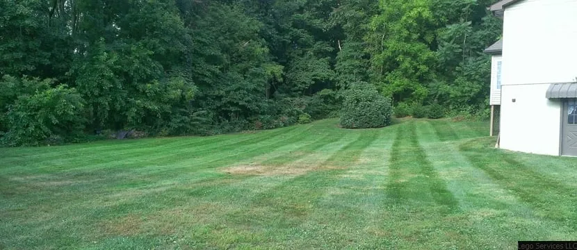 Local lawn care service in Altoona, PA - Lego Services