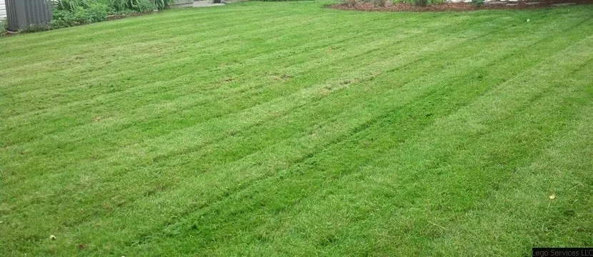 Local garden landscaping experts serving Altoona, PA - Lego Services