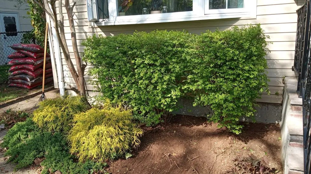 Reliable yard maintenance in Linden, NJ by Legrand Lawn Care