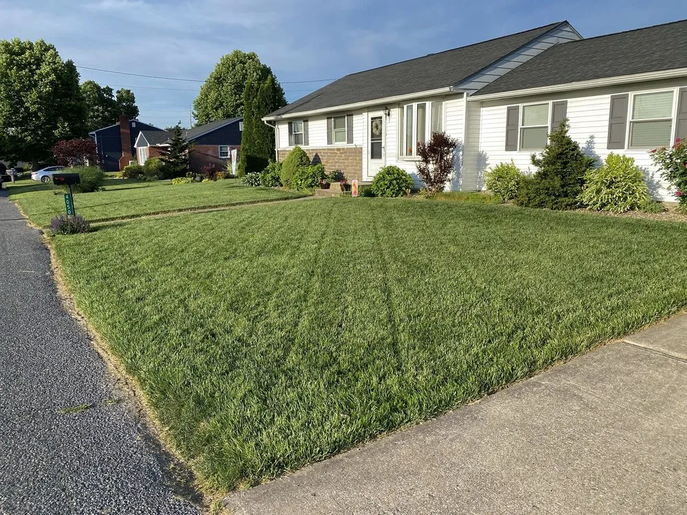 Reliable yard cleanup service in Zionsville, PA - Lehigh Valley Lawn