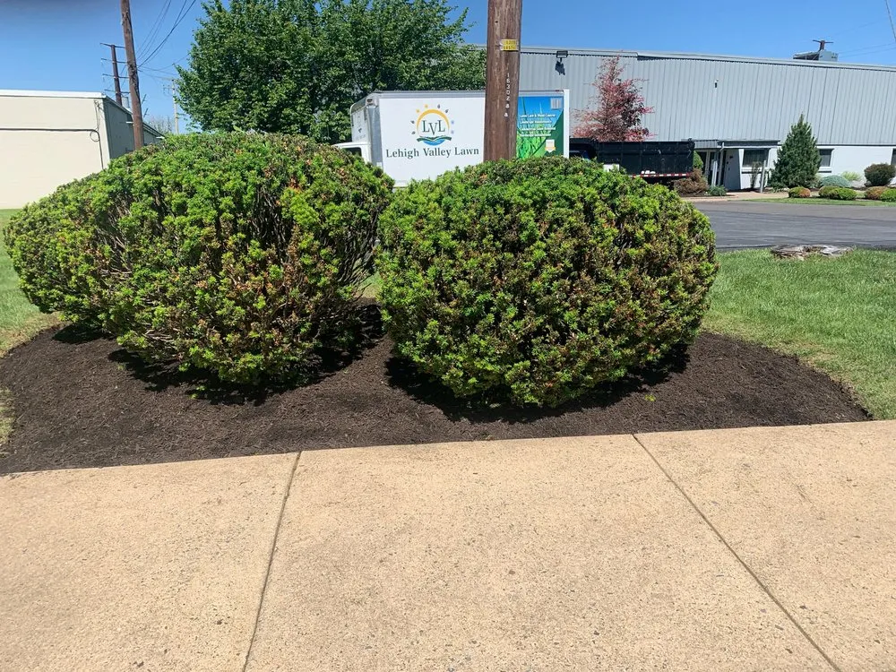 Trusted outdoor landscaping experts serving Zionsville, PA - Lehigh Valley Lawn