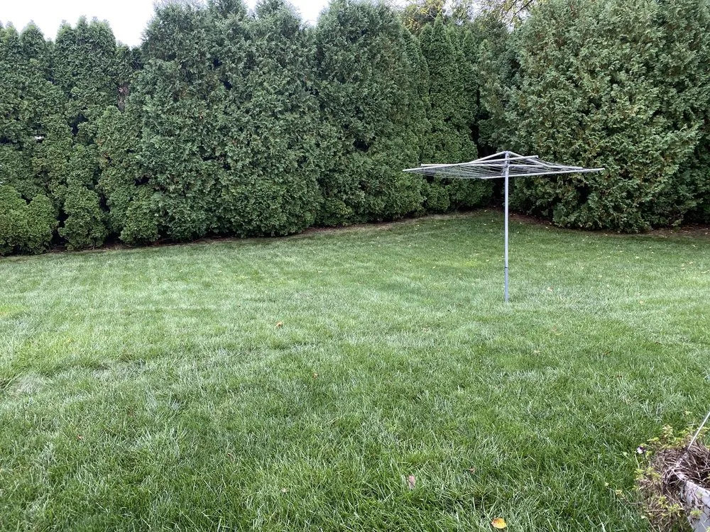 Professional landscape installation for residential properties across Zionsville, PA - Lehigh Valley Lawn