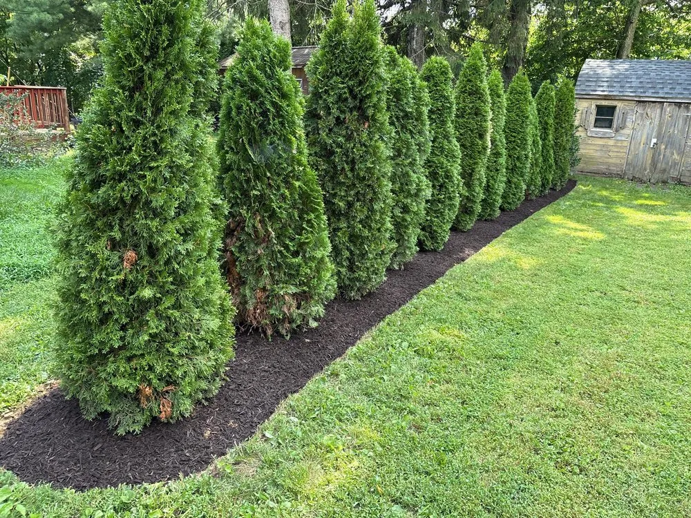 Expert landscaping services for residential properties in Zionsville, PA by Lehigh Valley Lawn