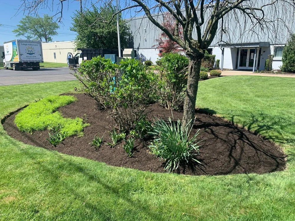 Affordable landscaping services in Zionsville, PA by Lehigh Valley Lawn