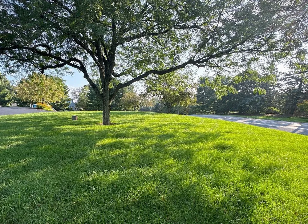 Affordable landscaping services in Zionsville, PA by Lehigh Valley Lawn