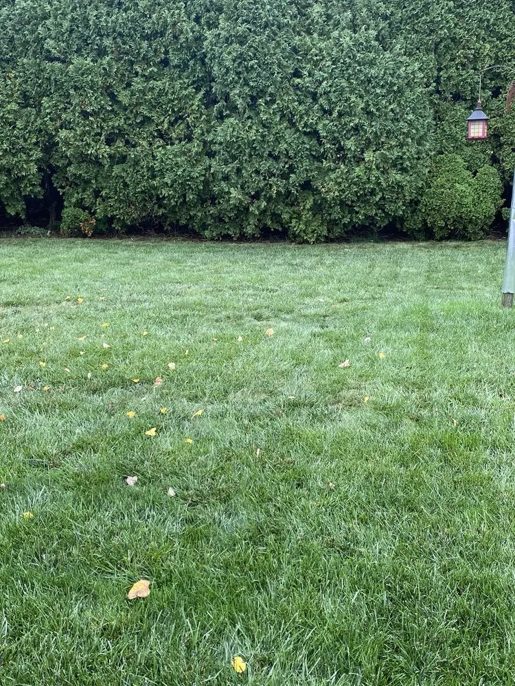 Reliable landscape design experts serving Zionsville, PA - Lehigh Valley Lawn