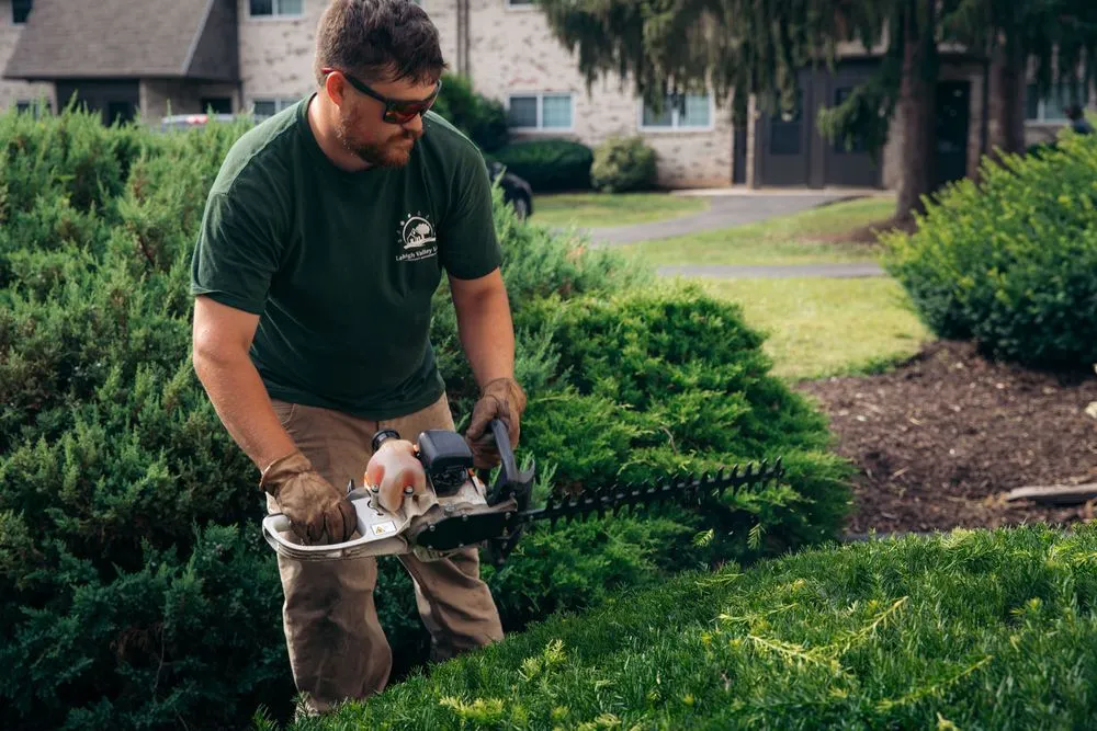 Reliable garden landscaping for outdoor upgrades in Zionsville, PA by Lehigh Valley Lawn